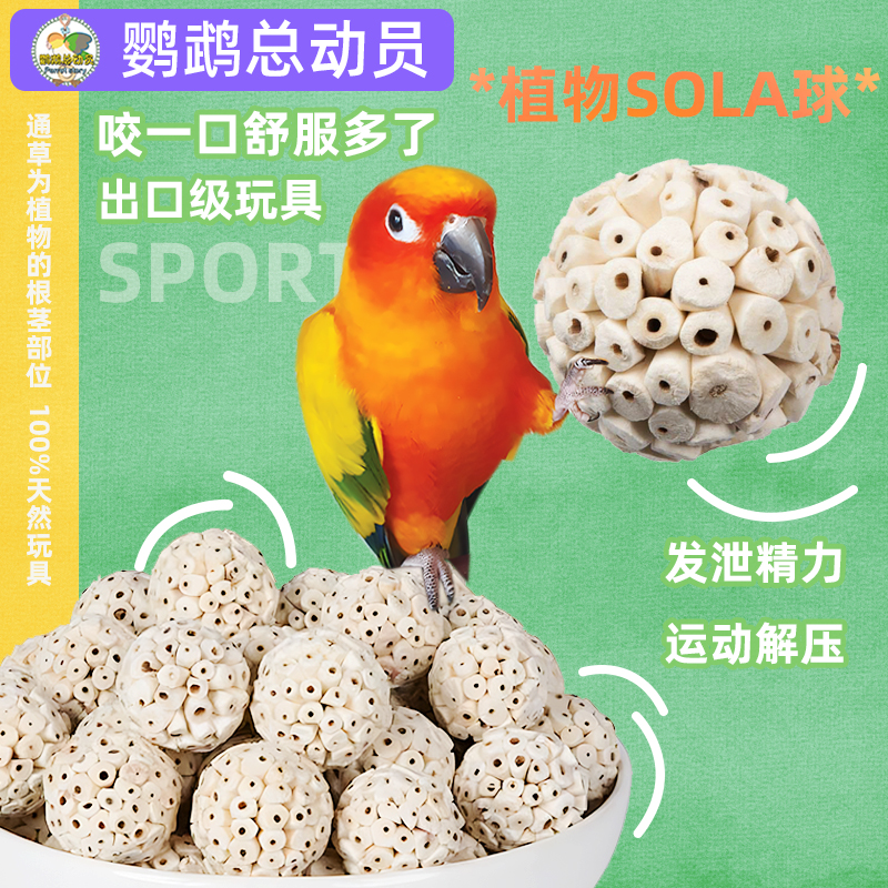 出口级工艺通草球鹦鹉玩具纯天然