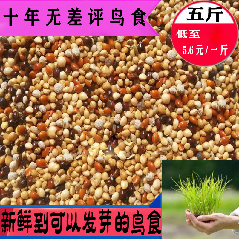 虎皮鹦鹉饲料鸟粮混合食百灵营养均衡食料文鸟食玉鸟粮麻雀鸟粮食