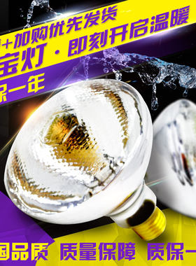 保温加厚UVA易牧宝爬宠加热晒背