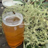 彭水土蜂蜜深山五倍子花蜜纯天然无添加原蜜重庆特产1斤