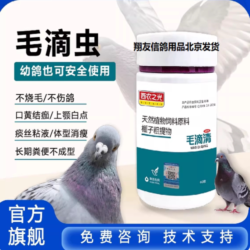 西农之光毛滴清信鸽赛鸽种鸽幼鸽毛滴虫口黄粘痰水便鸽子口腔白点
