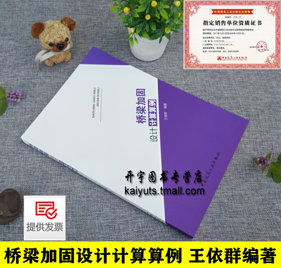 正版 桥梁加固设计计算算例 王依群编 桥梁加固工程计算 城乡建设依据CJJ/T 239-2016 JTG/T J22-2008混凝土桥梁结构加固设计书籍