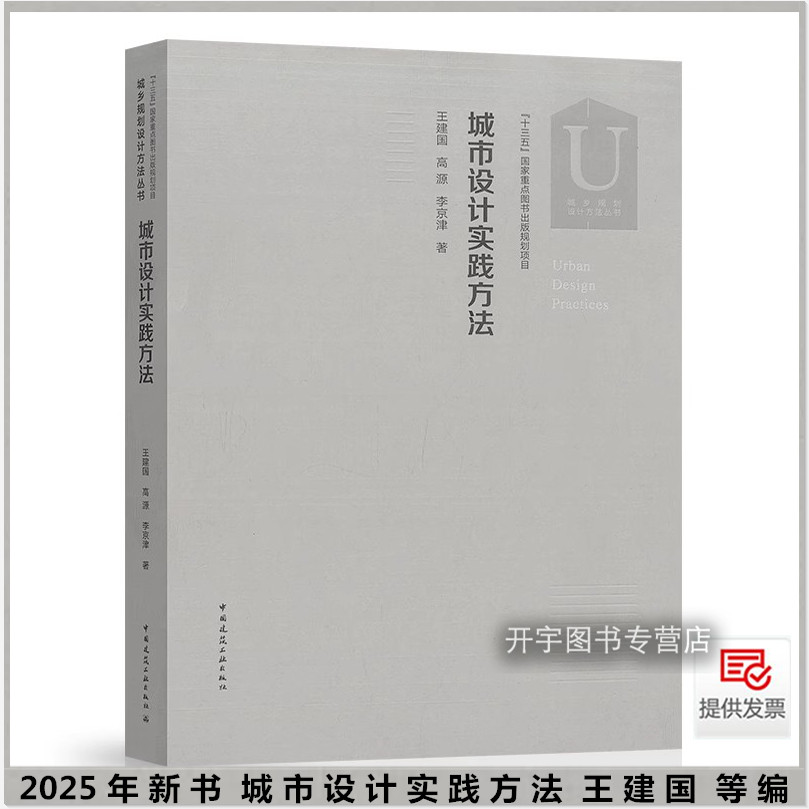 2025城市设计实践方法王建国
