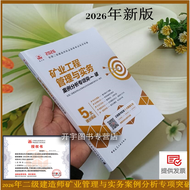 2026年矿业管理实务案例分析