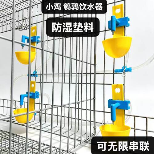 自动饮水器鹌鹑喂水器兔子喂水碗鸽子鹦鹉芦丁鸡喂水撞针饮水器