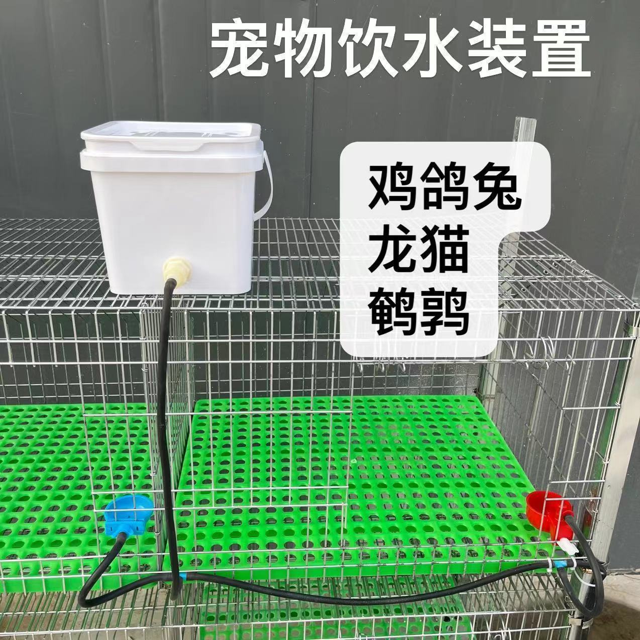 饮水器兔子喝水水桶鸡鸭鸽鹌鹑自动饮水装置养殖水桶