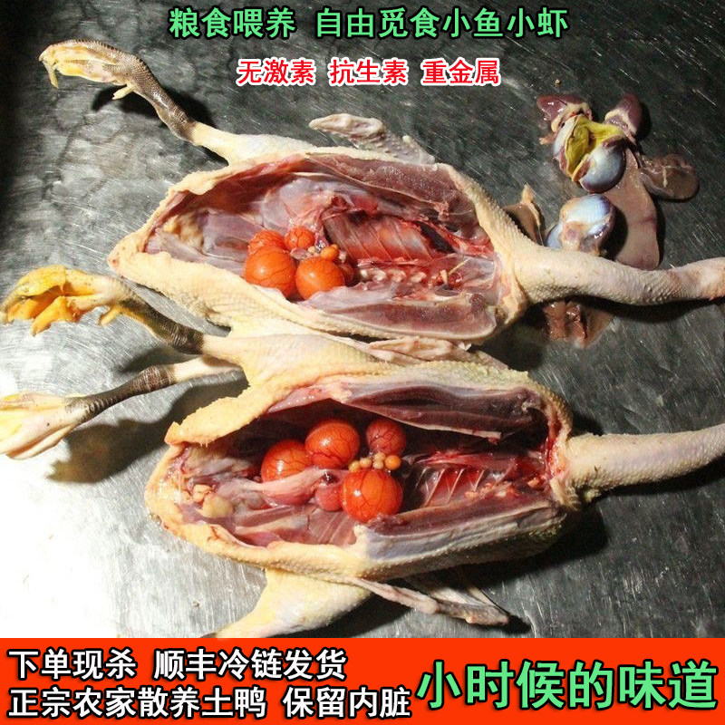 【正宗四年真老鸭量少卖完为止】农村散养土鸭子水鸭麻鸭新鲜滋补