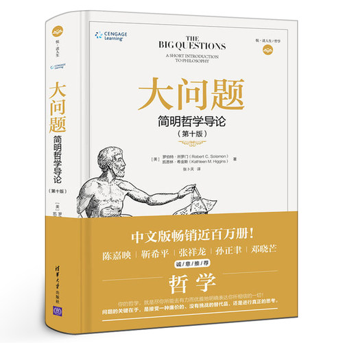 大问题 简明哲学导论 第10版 罗伯特所罗门 有趣又好读哈佛耶鲁清华北大等知名高校的哲学教材开明心智的普及读本 正版书籍
