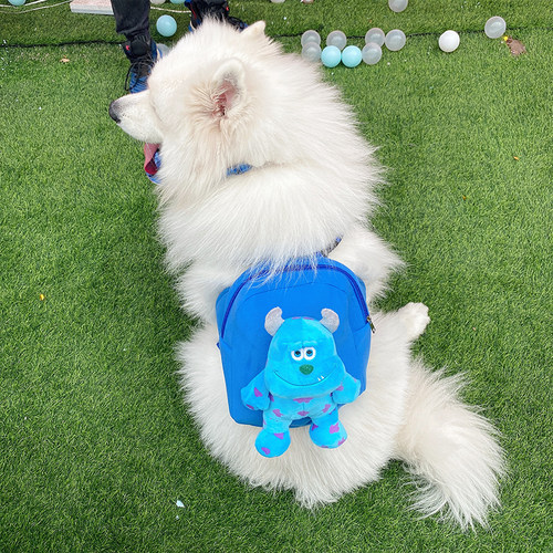 宠物狗狗书包中大型犬外出自背包金毛萨摩耶二哈双肩包狗背包网红