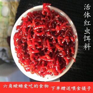 新鲜红虫牛心汉堡丰年虾冷冻红线血虫鱼粮金鱼食七彩六角龙鱼饲料