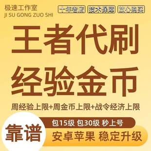 秒上号王者送荣耀代练带刷等级周经验金币战令熟练度30级15级排位
