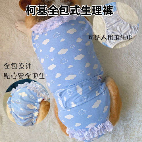 柯基生理裤，狗狗姨妈期好帮手