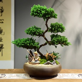 常青展厅装 真柏盆栽迎客松室内客厅办公室桌面盆景绿植四季 饰摆件