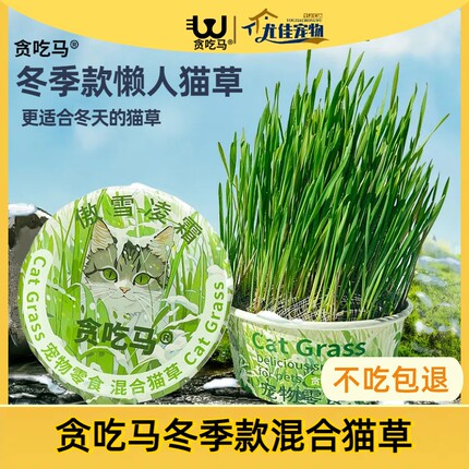 春冬季版猫草贪吃马化毛猫草罐头适合春天生产无土猫草水培猫零食