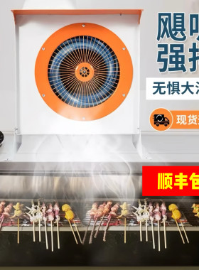 农村厨房抽油烟机家用大吸力排烟机土灶出租屋小型侧吸强力排气扇