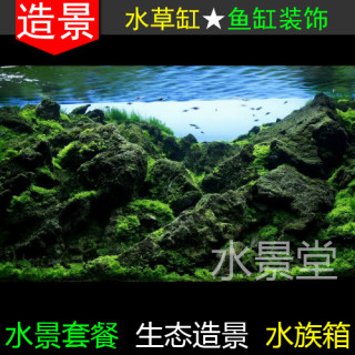 青龙石造景 水草缸套餐鱼缸天然原石 桌面小鱼缸玻璃  鱼缸造景