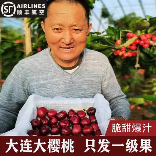 大连大樱桃当季新鲜农场果园直发