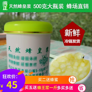 新蜂王浆新鲜500g正品 蜂皇浆纯正天然农家自产油菜蜂王乳春浆蜂乳