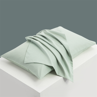 全棉60支长绒棉枕套一对装 纯棉枕头套单个40×60单个枕芯套48×74