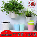 塑料壁挂花盆免打孔自动吸水墙上悬挂盆栽水土培绿萝吊兰大号家用