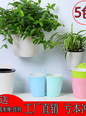 塑料壁挂花盆免打孔自动吸水墙上悬挂盆栽水土培绿萝吊兰大号家用