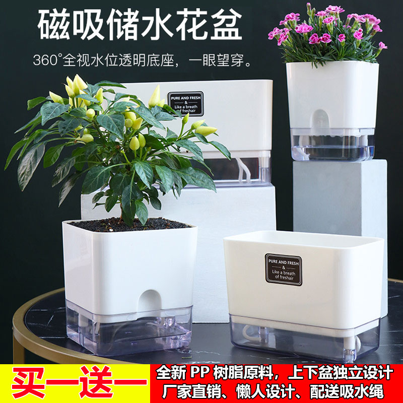 吸水盆塑料可视花盆自动吸水绿萝