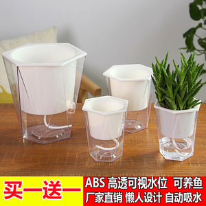 透明懒人花盆储水自动吸水花盆塑料水培花盆桌面创意绿萝植物花盆