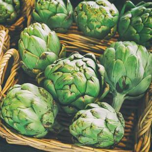 绿朝鲜蓟种子美国进口法国洋百合蔬菜种籽菊四季春播秋冬季盆栽孑