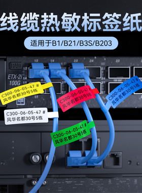 精臣B1/B2Pro/B21/B3S【线缆】标签纸网线通信机房布线P刀型电线