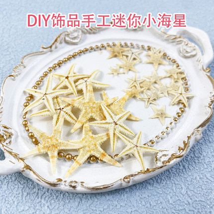 迷你海星标本手工diy饰品配件微景观漂流瓶材料艺术手账蜡烛装饰