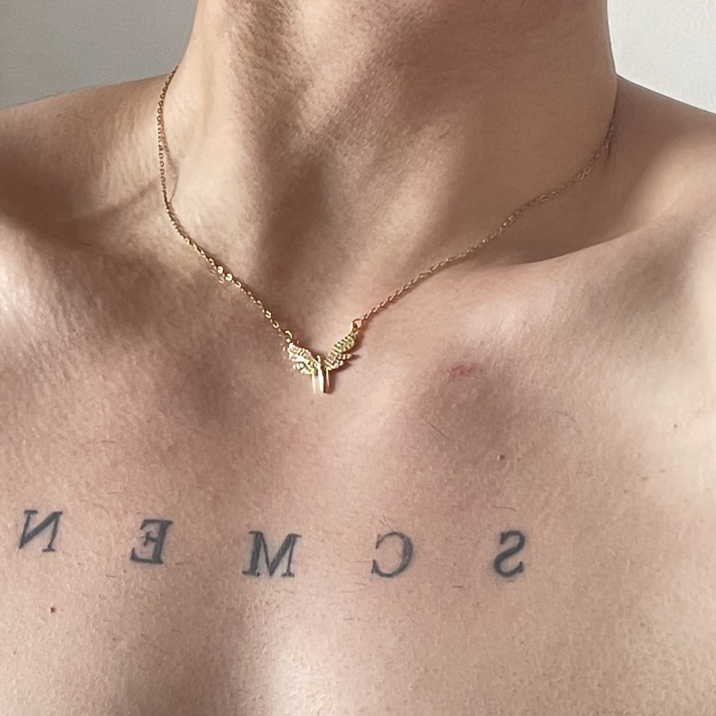 SCMEN S925纯银天使之翼项链男女小众轻奢锁骨链时尚简约个性颈链