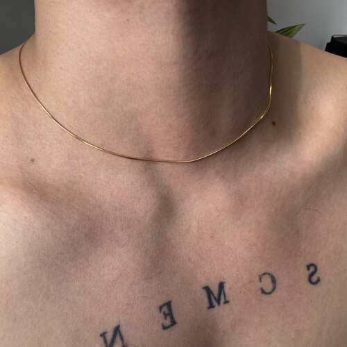 SCMEN “因为你那天带了素链不掉色蛇骨M扣很性感”锁骨项链男女