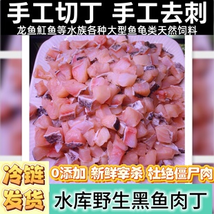 新鲜黑鱼丁饲料龙虎魟鱼食喂龟巴西龟乌龟黄缘高钙鳄龟下沉通用粮