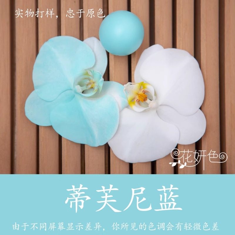 蒂夫尼蓝鲜花喷漆鲜花花艺专用喷漆花妍色碎冰蓝黑骑士改色变色