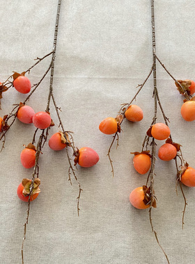 尖果柿子仿真浆果 家居装饰摆件植物假柿子枝 泡沫喷漆果子树枝