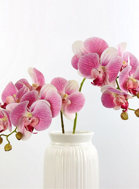 新款仿真蝴蝶兰婚庆家居装扮装饰花摆件挂件假花diy