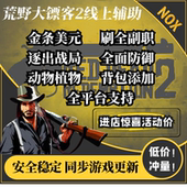 荒野大镖客2线上科技辅助疾风NOX大表哥2刷金条刷等级