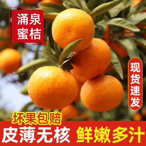 正宗临海涌泉蜜桔新鲜现摘