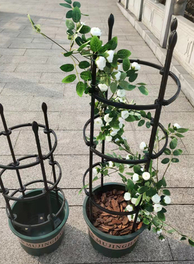 花架子爬藤架月季绿萝铁线莲防倒支撑杆花卉植物攀爬架蟹爪兰支架