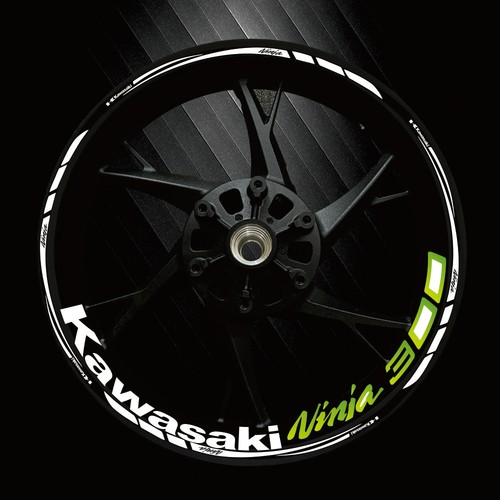 适用川崎忍者3004001000轮贴纸