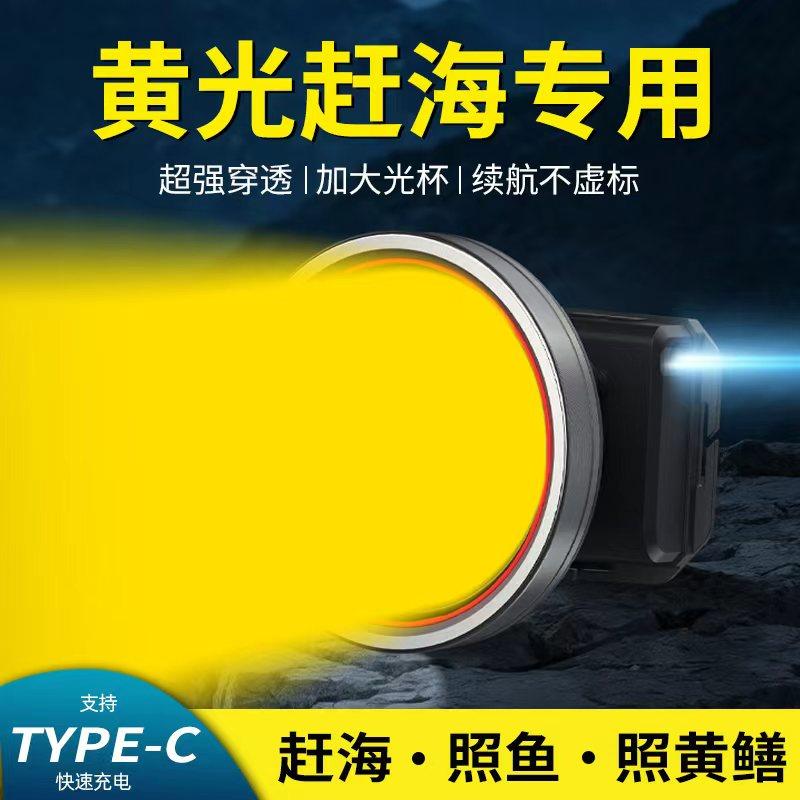 头戴式头灯照明充电超长亮续航手电筒感应户外钓鱼赶海野外强远射