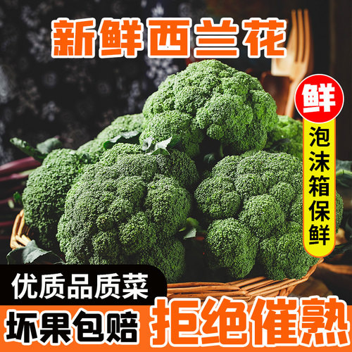 西兰花辅食价格 西兰花辅食图片 星期三