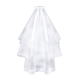 头纱登记领证拍照道具新娘主婚纱结婚小婚纱复古求婚女高级感法式