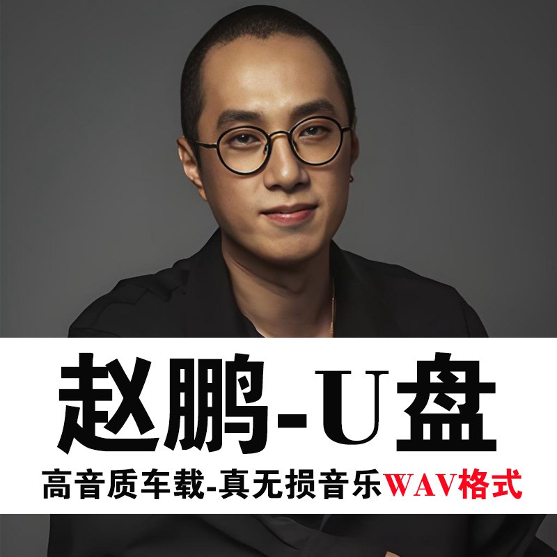 发烧男声碟片赵鹏试音人声低音炮经典老歌怀旧车载音乐光盘U盘