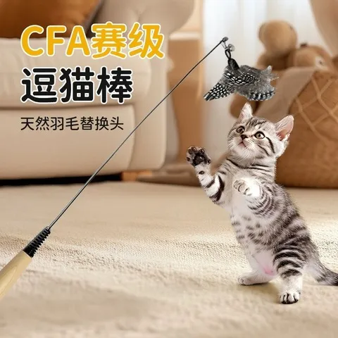 赛级猫玩具大全玩具逗猫棒替换头猫用品耐咬猫咪斑点CFA幼猫羽毛