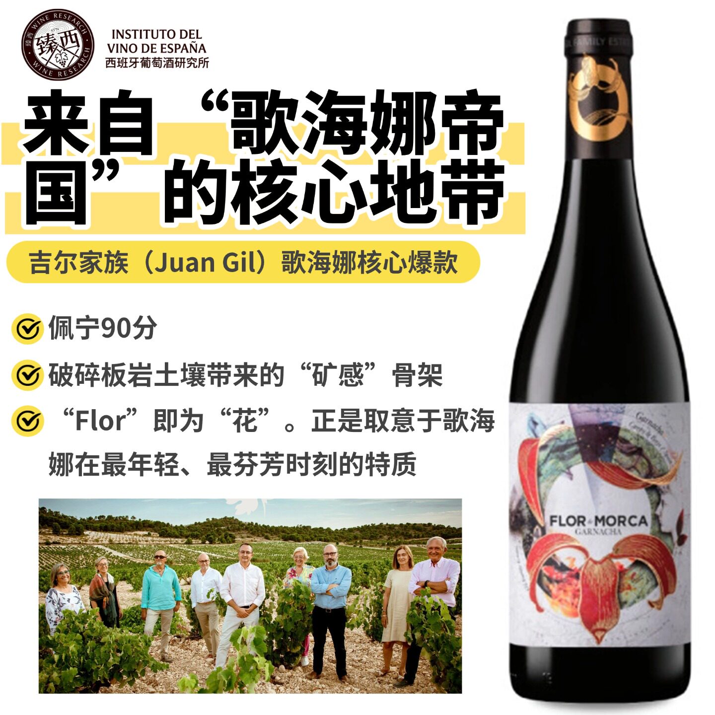 西班牙进口Flor de Morca博尔哈老藤歌海娜6个月法桶陈酿红葡萄酒