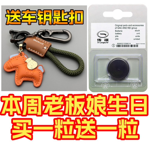 广汽埃安Y/YPLUS/S魅580/SPLUS/YP丫plus/S汽车钥匙遥控器V电池SP
