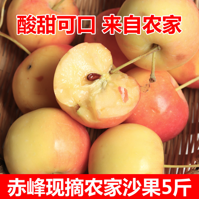 赤峰沙果新鲜采摘农家自然树上熟沙果海棠果水汽打酸甜产地发