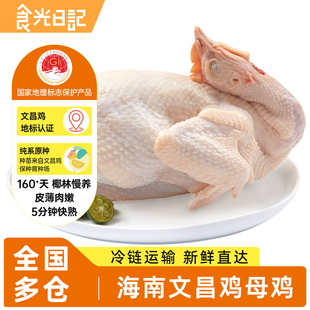 海南文昌鸡 新鲜整只切块正宗特产文昌母鸡椰子鸡白切鸡食材散养