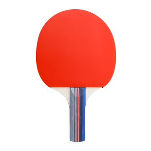 辉胜初学乒乓球拍迷你小球拍纯木儿童乒乓球底板乒乓球拍